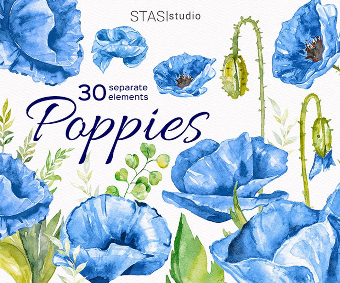 Blue Poppies Watercolor Clipart Poppies Illustration Blue Etsy