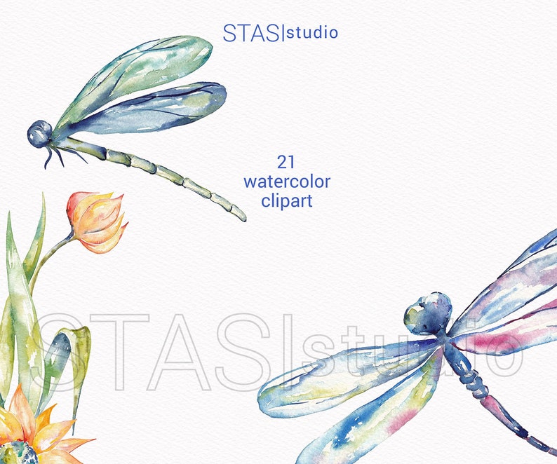Dragonflies Watercolor Dragonfly Clipart, Blue Green Orange Spring Insect Dragon Fly Illustration Wedding Invitations Printable png DIY image 4