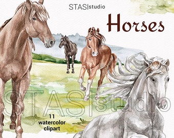 Watercolor Horse clipart Horses illustration white black broun Horse Boho Invitation  Derby Planner Stickers Meadow Western Party Clipart
