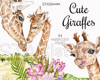 Cute Giraffes watercolor clipart, Baby Giraffe, African Wild Animals, Safari set, Printable Illustrations, Baby Shower Nursery Clip Art