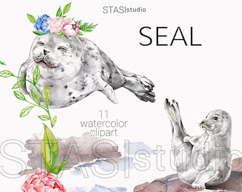 Watercolor Harbor Seal clipart, Cute Seal, Arctic Flower baby seal nursery Baby-shower, Sea, Wreath