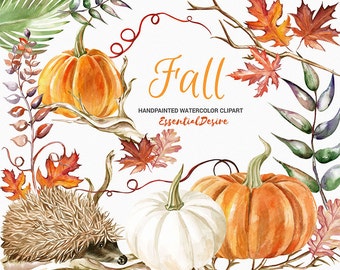Thanksgiving Clipart Watercolor Pumpkin Watercolor Hedgehog clipart, Autumn clipart, Fall DIY Clip Art, Autumn leaves, PNG files, Halloween