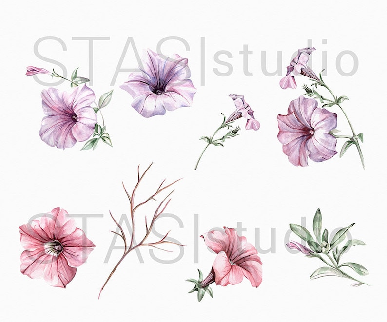 Watercolor Petunias Clipart Boho Floral Wreath Bouquets Wedding invitations Handpainted Pink Purple Flowers Planner Supplies Wedding Clipart image 2