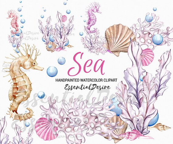 ocean watercolor clipart seahorse