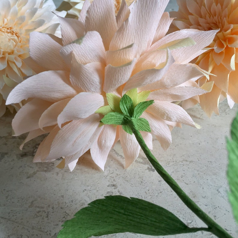 Crepe Paper Cafe Au Lait Dahlia Single Stem Wedding Flowers Etsy