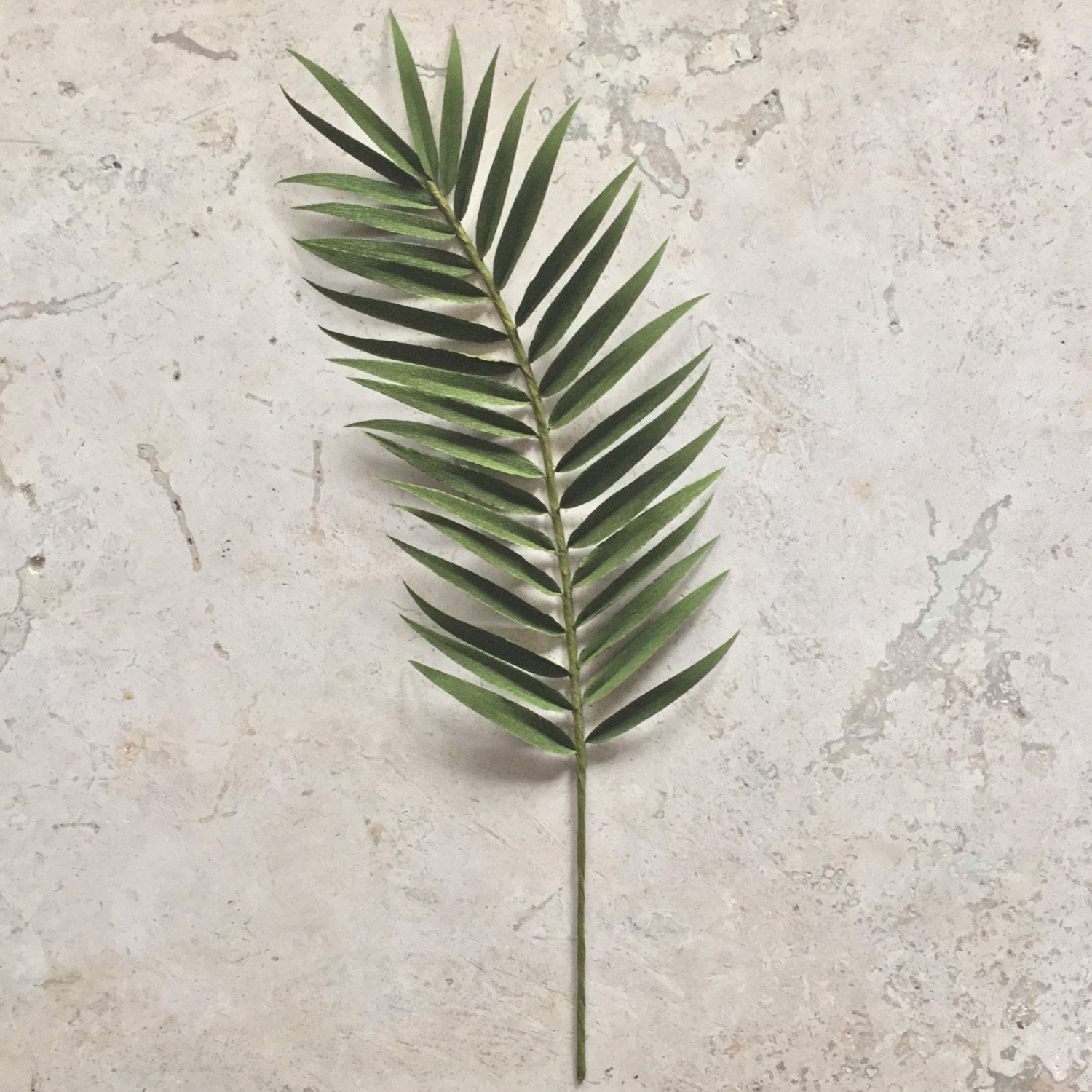 Crepe Paper Palm Frond Single Stem Greenery Tropical Etsy