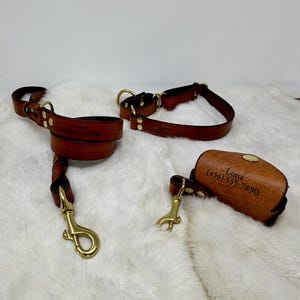 Personalized 1-Inch Wide Leather Martingale Dog Collar, Leash, & Poop Bag Holder Matching Set