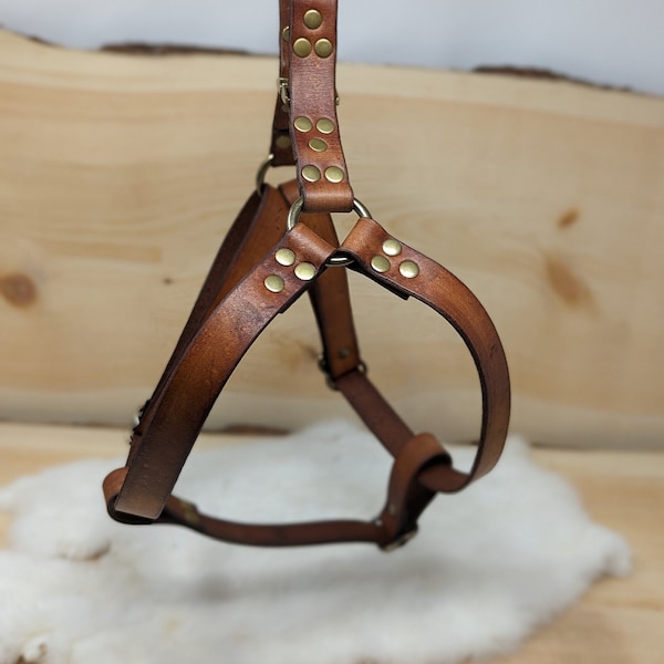 Personalized Leather Step-in Dog Harness With Name