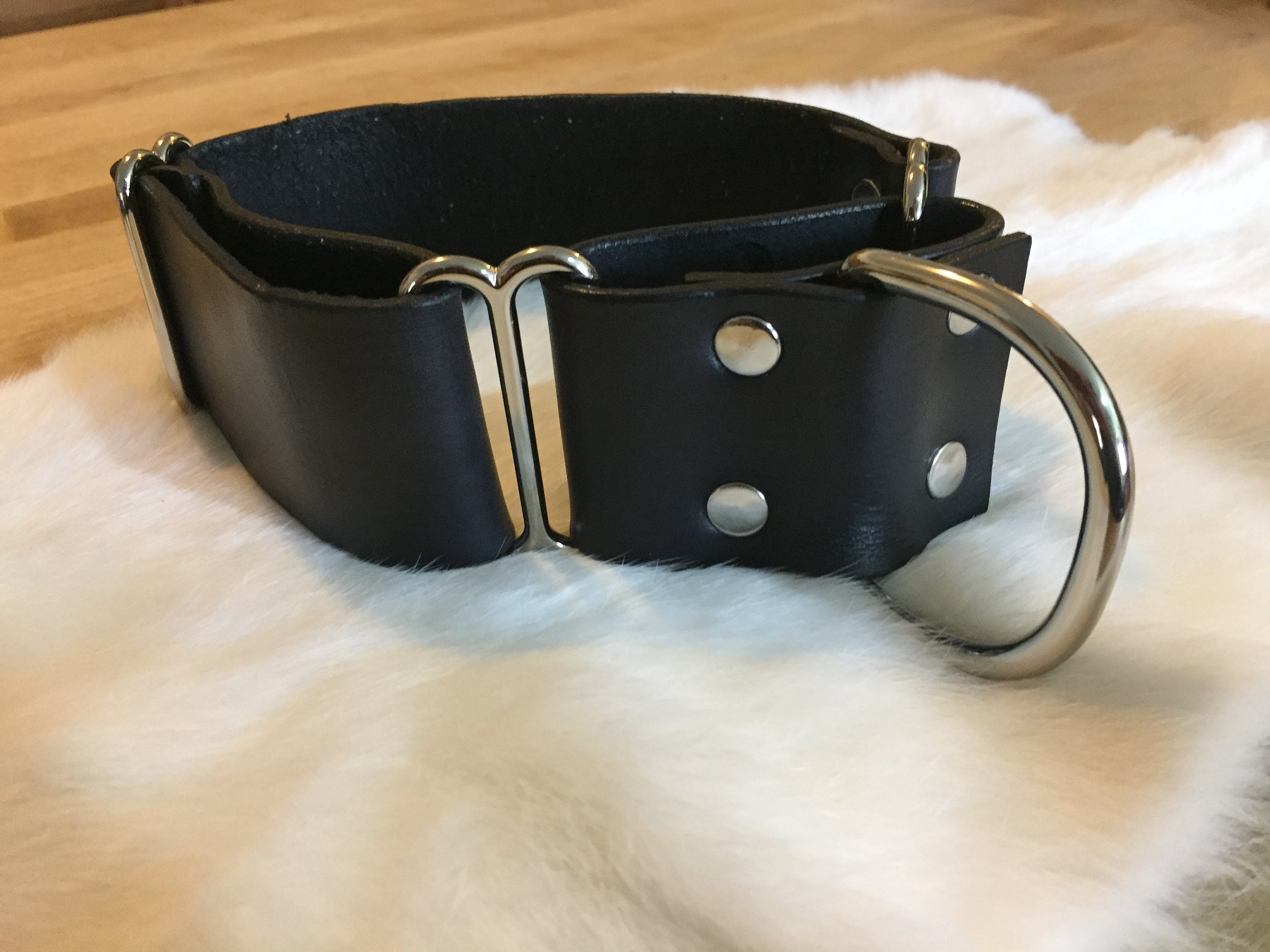 Martingale Leather Dog Collar at Jamie Watson blog