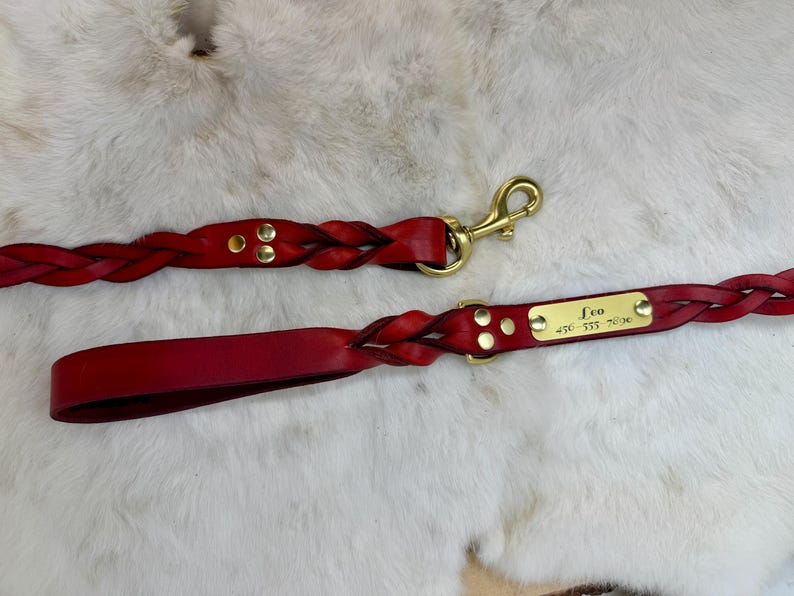 Braided, Personalized Leather Dog Leash With Optional Name plate (Multiple Leather & Metal Colors) image 15