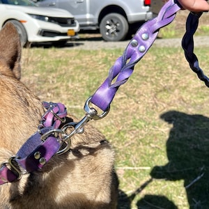 Braided, Personalized Leather Dog Leash With Optional Name plate (Multiple Leather & Metal Colors) image 16