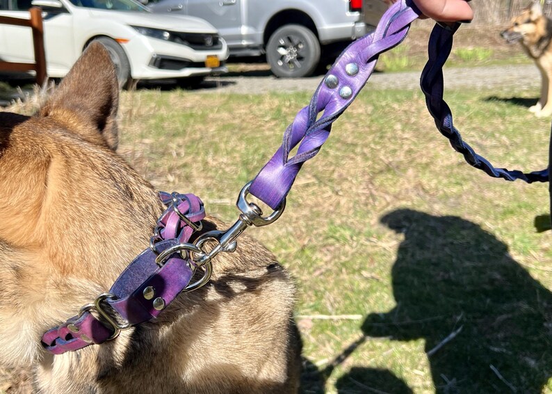 Braided, Personalized Leather Dog Leash With Optional Name plate (Multiple Leather & Metal Colors) image 16