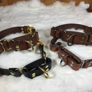 Collar Martingala de cuero personalizado para perro de 1" de ancho con hebilla de liberación rápida y placa de identificación opcional.