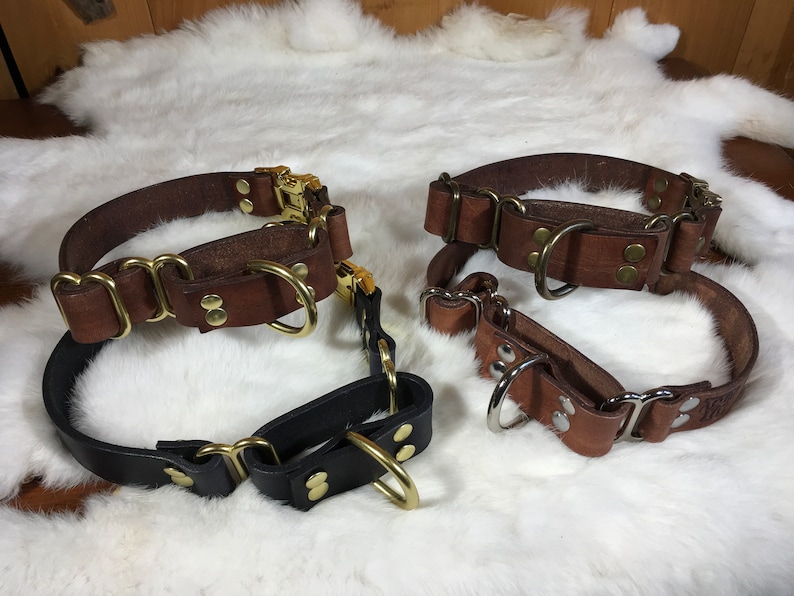 Pu&ograve; includere: Quattro collari per cani in pelle marrone e nera, con finiture in ottone. I collari hanno un design classico con anelli a D in metallo e fibbie regolabili. I collari sono esposti su una superficie bianca e soffice.