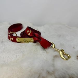 Personalized Leather Dog Leash With Optional Name plate (Multiple Leather & Metal Colors) image 9
