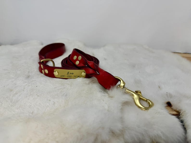Personalized Leather Dog Leash With Optional Name plate (Multiple Leather & Metal Colors) image 9