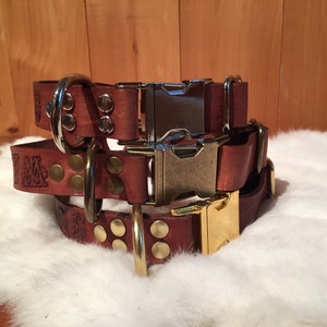 May include: Three stacked brown leather dog collars with metal hardware. The collars have engraved text, brass-colored rivets, and silver and gold-colored buckles. The collars are displayed on a white, fluffy surface.