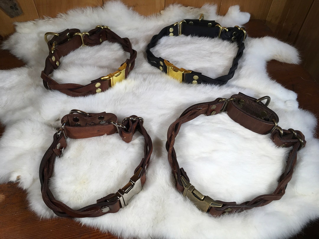 Braided, Personalized 1 Wide Leather Martingale Dog Collar With Quick