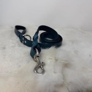 Personalized Leather Dog Leash With Optional Name plate (Multiple Leather & Metal Colors) image 11
