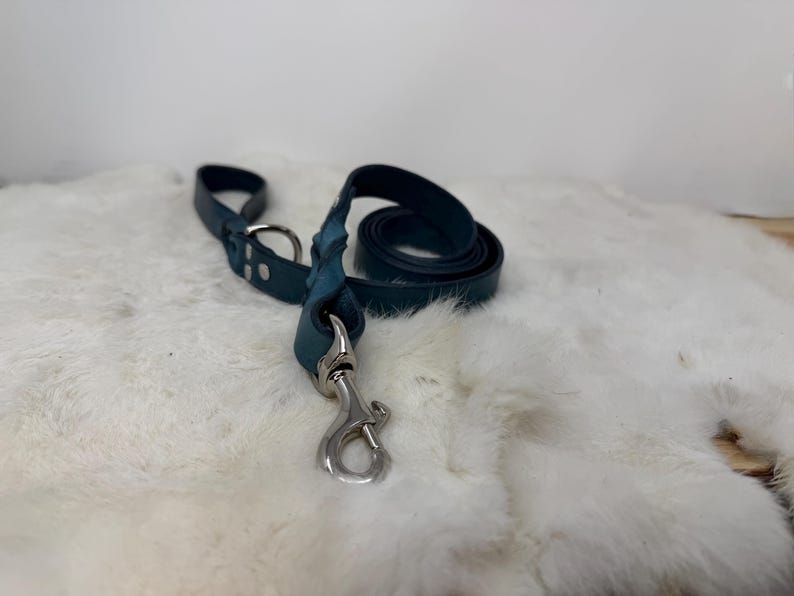 Personalized Leather Dog Leash With Optional Name plate (Multiple Leather & Metal Colors) image 11