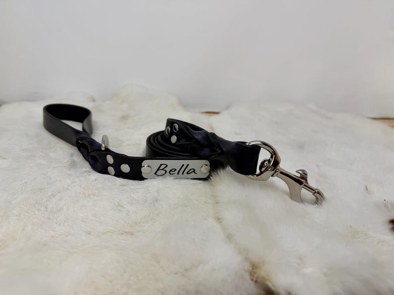 Personalized Leather Dog Leash With Optional Name plate (Multiple Leather & Metal Colors) image 8