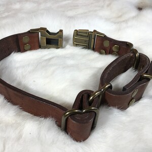 Pu&ograve; includere: Un collare per cani in pelle marrone con fibbia e hardware in metallo. Il collare &egrave; dotato di un anello a D per l'attacco del guinzaglio e presenta un'estetica classica e durevole. Il collare &egrave; largo circa 2,5 cm.