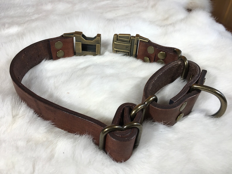 Pu&ograve; includere: Un collare per cani in pelle marrone con fibbia e hardware in metallo. Il collare &egrave; dotato di un anello a D per l'attacco del guinzaglio e presenta un'estetica classica e durevole. Il collare &egrave; largo circa 2,5 cm.