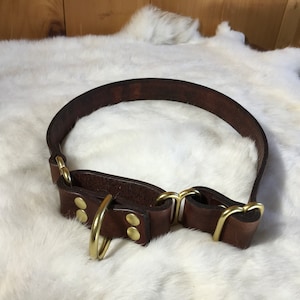 Personalized  1&quot; Wide Leather Martingale Dog Collar With Optional Name plate