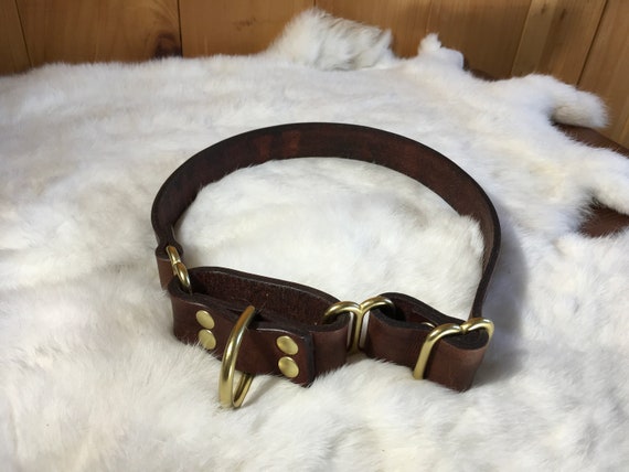 Personalized  1" Wide Leather Martingale Dog Collar With Optional Name plate