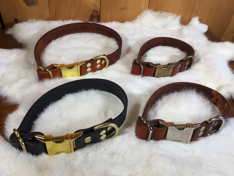 May include: Four leather dog collars in varying sizes and colors. Two are brown with brass buckles, one is black with a brass buckle, and the fourth is brown with a silver buckle. The collars are displayed on a white, fluffy surface.