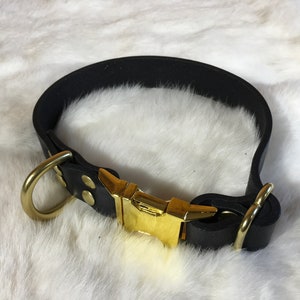 May include: Black leather dog collar with gold-colored hardware, including a buckle and D-ring. The collar is set against a white, fluffy background.