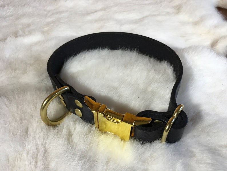 May include: Black leather dog collar with gold-colored hardware, including a buckle and D-ring. The collar is set against a white, fluffy background.