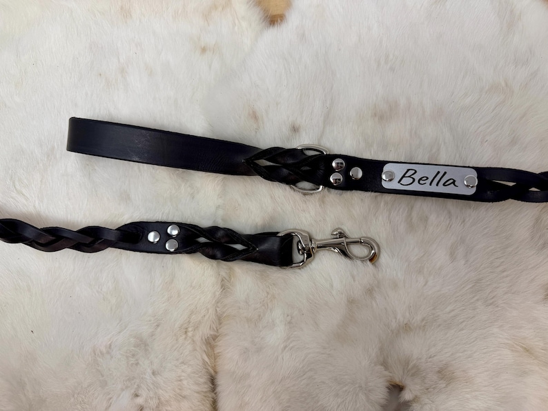 Braided, Personalized Leather Dog Leash With Optional Name plate (Multiple Leather & Metal Colors) image 14