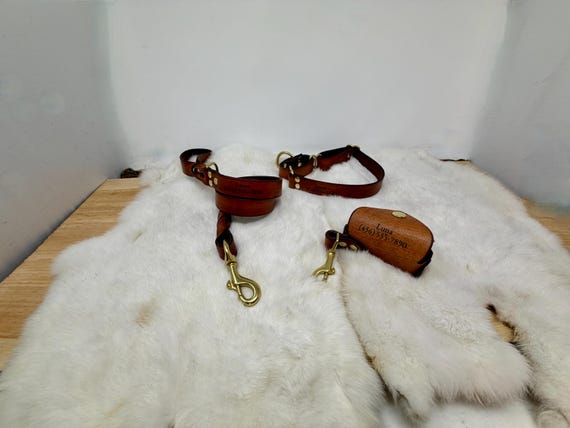Personalized 1-Inch Wide Leather Martingale Dog Collar, Leash, & Poop Bag Holder Matching Set