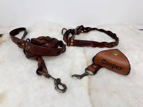 Personalized 1-Inch Wide Braided Leather Martingale Dog Collar, Leash, & Poop Bag Holder Matching Set