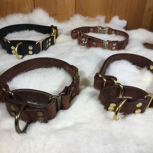 Pu&ograve; includere: Quattro collari per cani in pelle in varie tonalit&agrave; di marrone e nero, con finiture in ottone. I collari sono esposti su una superficie bianca e soffice. Ogni collare &egrave; dotato di un anello a D e di una fibbia.