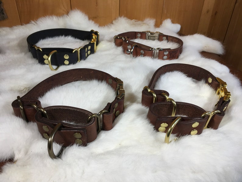 Pu&ograve; includere: Quattro collari per cani in pelle in varie tonalit&agrave; di marrone e nero, con finiture in ottone. I collari sono esposti su una superficie bianca e soffice. Ogni collare &egrave; dotato di un anello a D e di una fibbia.