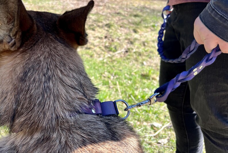 Braided, Personalized Leather Dog Leash With Optional Name plate (Multiple Leather & Metal Colors) image 4