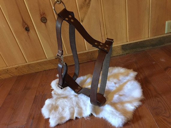 Personalized Leather Dog Harness With Optional Name Plate (Customize Your Pup's Harness with Multiple Leather and Metal Color Options)