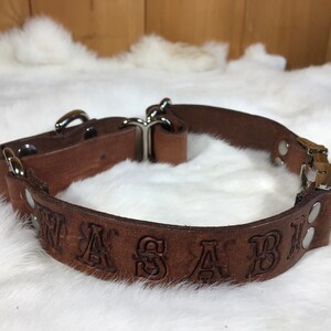 Pu&ograve; includere: Un collare per cani in pelle marrone con la scritta "WASABI" in rilievo. Il collare ha elementi metallici color argento, tra cui una fibbia e anelli a D. Il collare &egrave; posto su uno sfondo bianco e soffice.