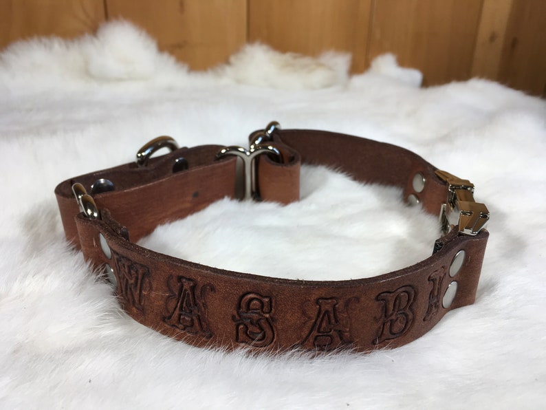 Pu&ograve; includere: Un collare per cani in pelle marrone con la scritta "WASABI" in rilievo. Il collare ha elementi metallici color argento, tra cui una fibbia e anelli a D. Il collare &egrave; posto su uno sfondo bianco e soffice.