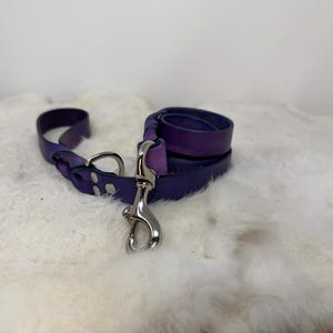 Personalized Leather Dog Leash With Optional Name plate (Multiple Leather & Metal Colors) image 10