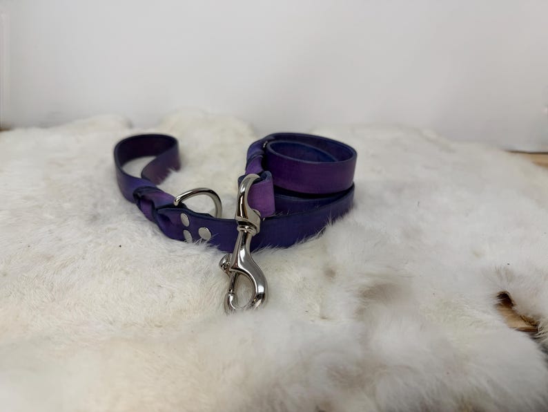 Personalized Leather Dog Leash With Optional Name plate (Multiple Leather & Metal Colors) image 10