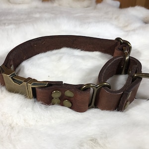 Pu&ograve; includere: Un collare per cani in pelle marrone con fibbia e hardware in ottone. Il collare &egrave; dotato di un anello a D per l'attacco del guinzaglio ed &egrave; progettato per la durata. Il collare &egrave; mostrato su una superficie bianca e soffice.