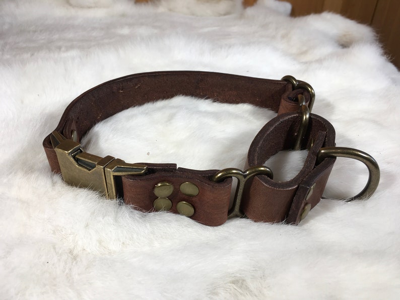 Pu&ograve; includere: Un collare per cani in pelle marrone con fibbia e hardware in ottone. Il collare &egrave; dotato di un anello a D per l'attacco del guinzaglio ed &egrave; progettato per la durata. Il collare &egrave; mostrato su una superficie bianca e soffice.