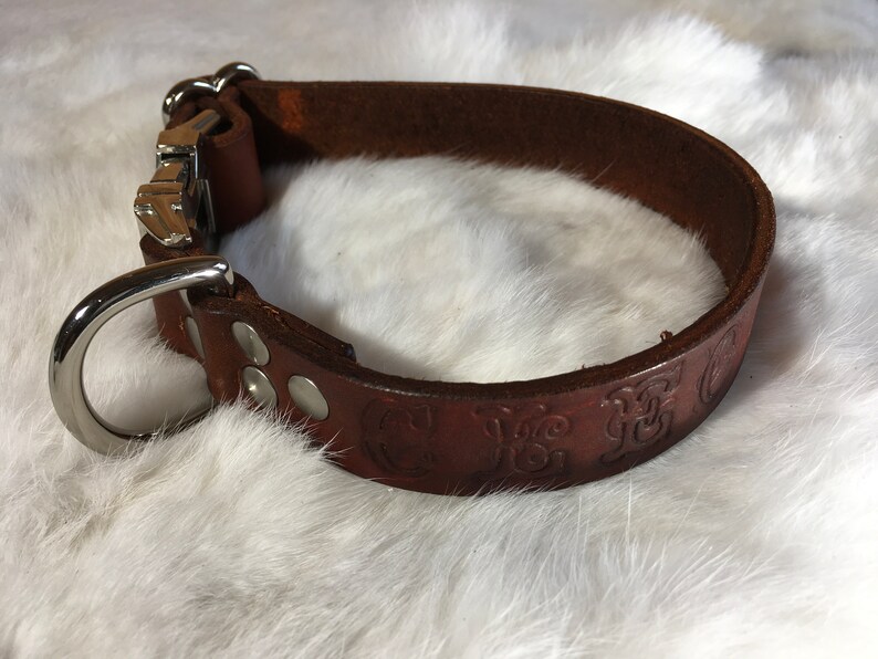 May include: A brown leather dog collar with a silver metal buckle and a D-ring. The collar has decorative embossed patterns and is secured with silver rivets. The collar is shown on a white, fluffy surface.