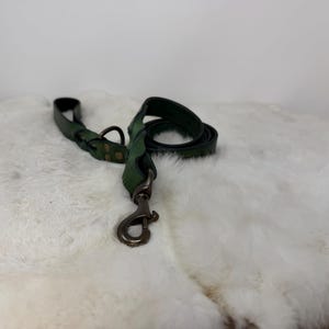 Personalized Leather Dog Leash With Optional Name plate (Multiple Leather & Metal Colors) image 12