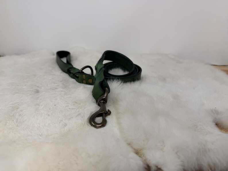 Personalized Leather Dog Leash With Optional Name plate (Multiple Leather & Metal Colors) image 12