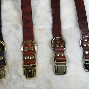 May include: Four leather dog collars in black and brown, each with a metal buckle and D-ring. The brown collars have embossed text. The collars are displayed on a white, fluffy surface.
