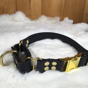 Pu&ograve; includere: Un collare per cani in pelle nera con finiture color oro, tra cui una fibbia, un anello a D e rivetti. Il collare &egrave; posto su uno sfondo bianco e soffice, con uno sfondo in legno.